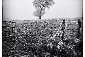 2023 National 1 IP Monochrome