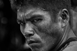 soupçonneux - Guinot G