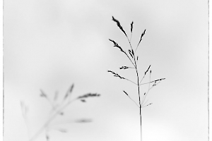 Légèreté  - Guinot E