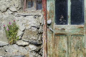 Apparition CLERC Monique