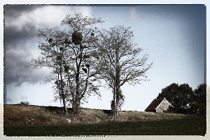Autochrome GUILLET Gilles