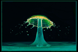 Collision LAMBOEUF Bernard