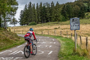 2024 Regional IP  Couleurt