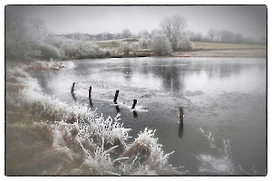 Froidure GUILLET Gilles