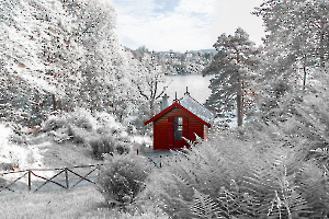 L'atelier de Grieg CLERC Monique