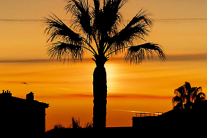 Lever de soleil MOSNIER Michel