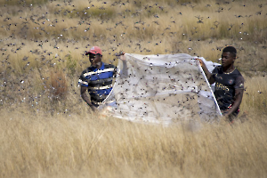 Proteines GUINOT Gilbert