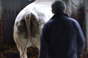 sur la foire BOURDEAU Roger