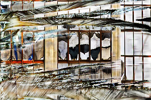 vitrine BOURDEAU Roger