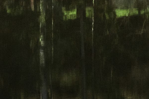 Arbor une présence silencieuse - BOURDEAU Roger 2