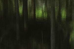 Arbor une présence silencieuse - BOURDEAU Roger 3