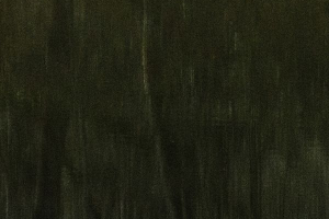 Arbor une présence silencieuse - BOURDEAU Roger 7