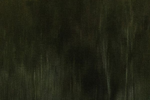 Arbor une présence silencieuse - BOURDEAU Roger 8