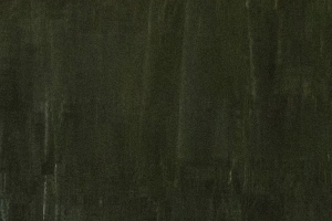 Arbor une présence silencieuse - BOURDEAU Roger 9