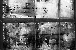 2025 N1 image projetee monochrome