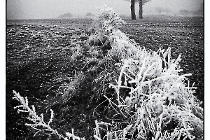 GUILLET Gilles - Ambiance Givrée
