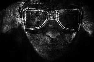 MILLIET Laurent - Plein gazzzz