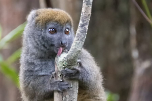 GUINOT Gilbert - C'est bon