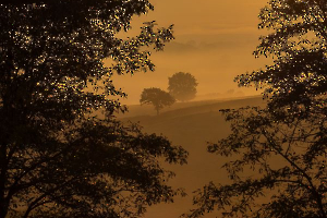 HARTMANN Philippe - Aurore