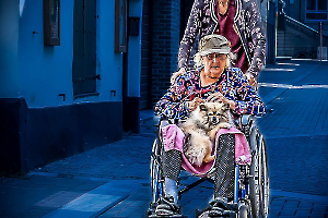 MARTINET Thierry - Chien de garde malade