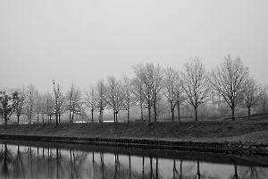 ALBESSARD Dominiqe - Allée des soupirs