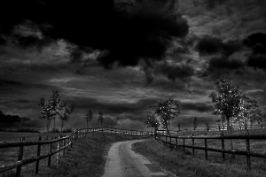 ALBESSARD Dominiqe - Le domaine de Rymska