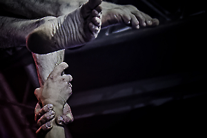 Pole dance - MILLIET Laurent 4