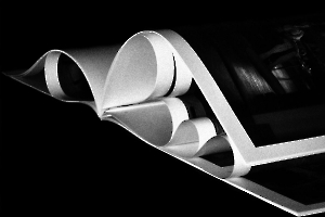 Livre BOURDEAU Roger