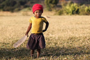 2024 Coupe de France Papier Couleur