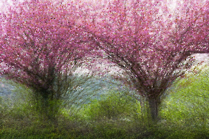 Secoué FOUEL Jacques