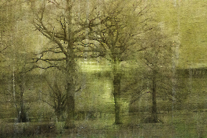 Vibrations BOURDEAU Roger