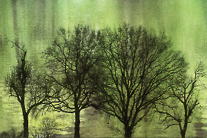 Arbor 2 BOURDEAU Roger_03