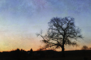 Soleils couchants BEAUFILS Monique_02