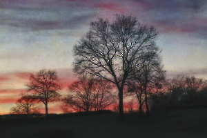 Soleils couchants BEAUFILS Monique_03