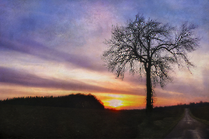 Soleils couchants BEAUFILS Monique_06