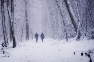 2024 Regional Auteur papier