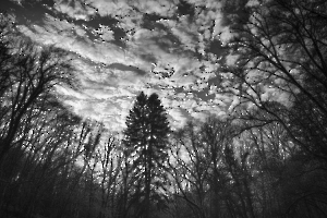 Enlacement BEAUFILS Monique