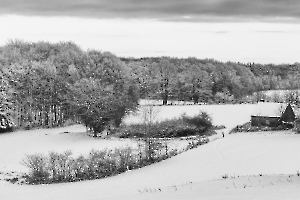 Nuit de neige BEAUFILS Monique