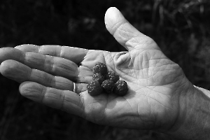 Offrande MOSNIER Michel