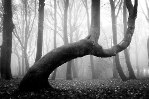 Tourmenté GAUTHIER Alain