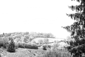 Froidure MILLIET Laurent