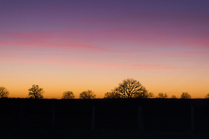 quelques secondes suspendues CHEREAU Jean-Baptiste