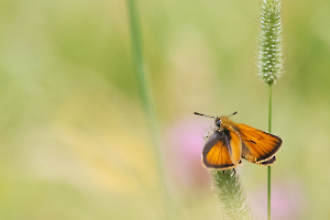Quiétude BEAUFILS Monique
