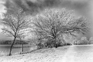 Froidure LAMBOEUF Bernard