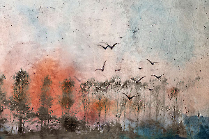 Vol à Duingt - Dumont Y