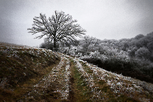 G_Guillet_Ambiance Givrée1