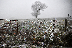 G_Guillet_Ambiance Givrée2