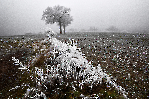G_Guillet_Ambiance Givrée3
