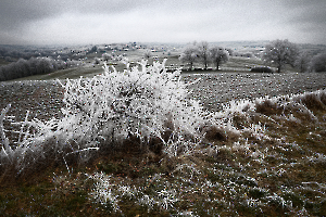 G_Guillet_Ambiance Givrée4