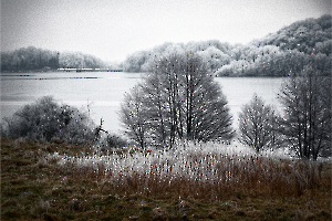 G_Guillet_Ambiance Givrée9